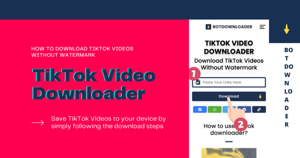 TikTok Downloader